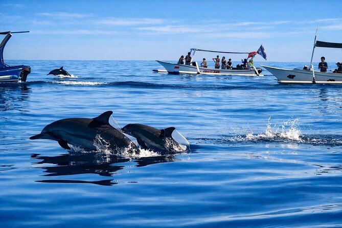 Dolphins leaping at sunrise off Lovina — serene, special.