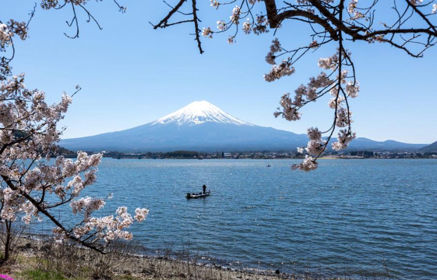 Mt Fuji